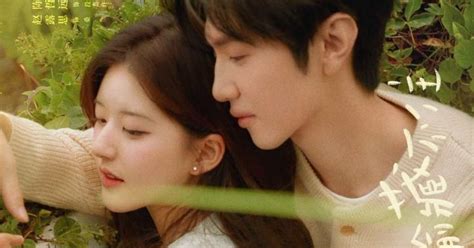 Hidden Love Season 2 Rumors: Will Chinese Drama Get a .